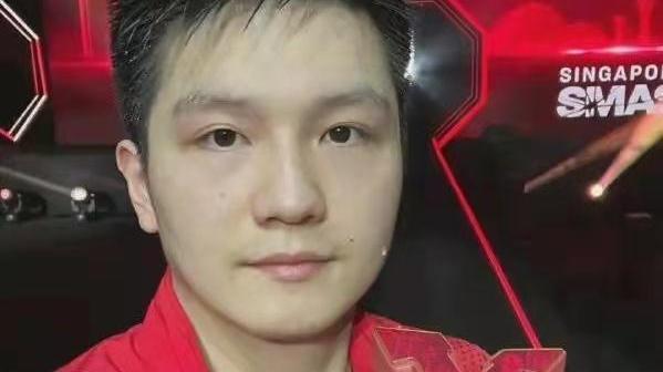 樊振东|波尔祝福樊振东已成为老将的一句玩笑话，无疑戳中了男乒的痛点