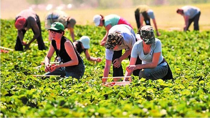 大学|盘点四个好玩又实用的专业，学习和玩两不耽误，毕业还好找工作