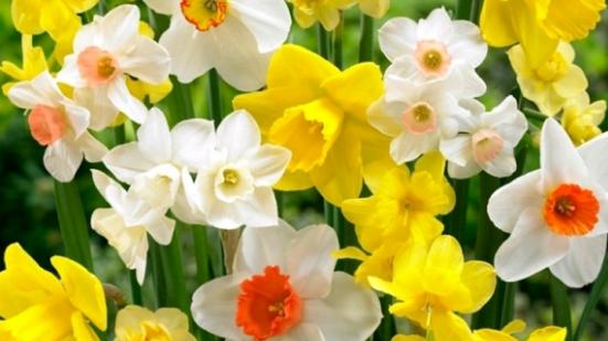 |哪几个日子出生的人，一身贵气，小人晦气不敢来犯，虎年走大运