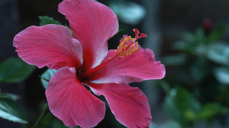 上海市|现实社会里，你要明白这些潜规则