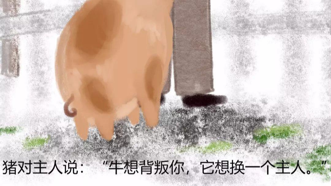 |牛是如何死的？｜一则深入人心的漫画故事