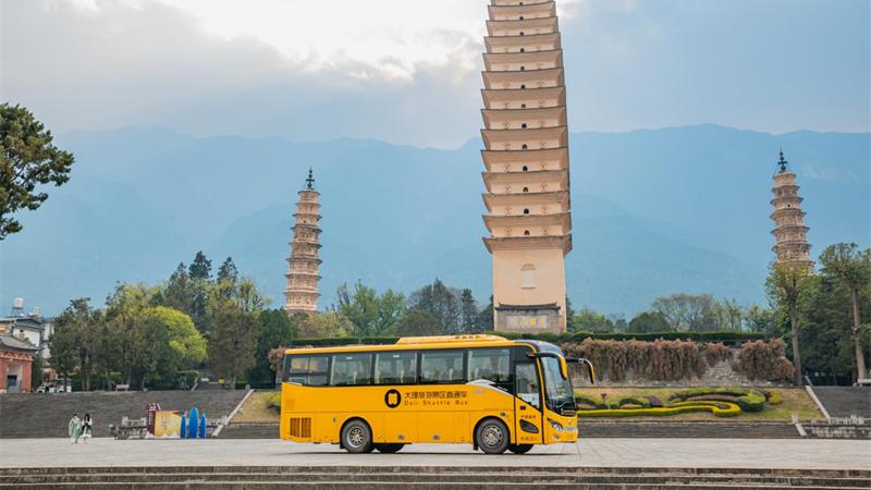 洱海|环洱海旅游观光巴士已到站，福利大放送，还不快上车！