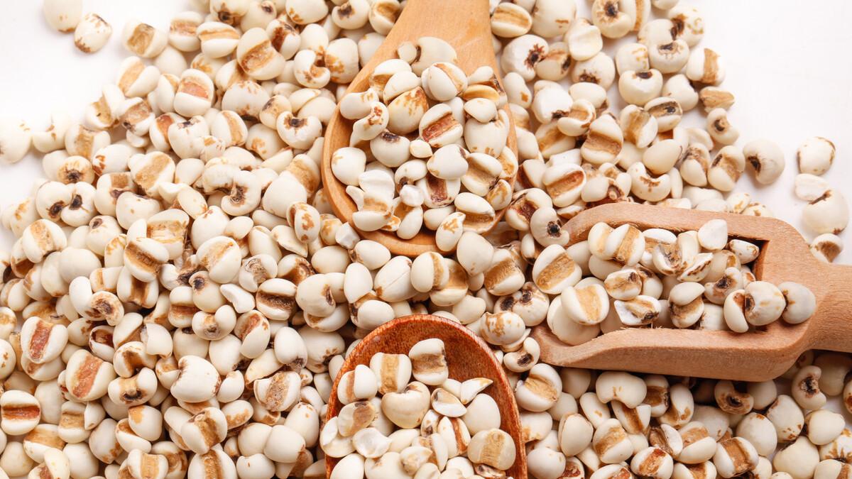 薏苡仁|来泡脚吧，一个泡脚方薏苡仁汤，帮你把积在体内的陈年寒湿排出去