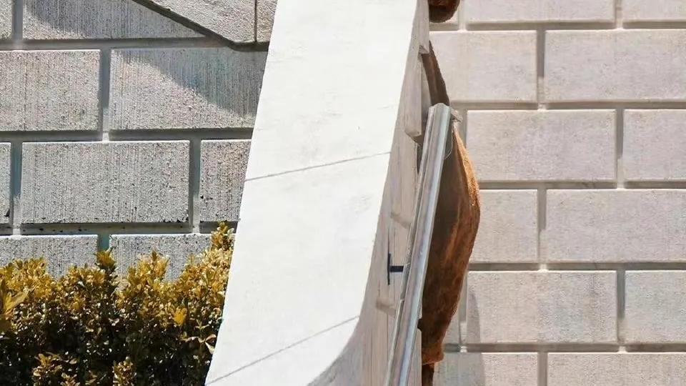 娱乐圈|娱乐圈八卦小料