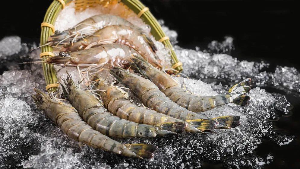 三伏天|“无胆英雄”的养护|胆囊切除后，饮食要注意什么？