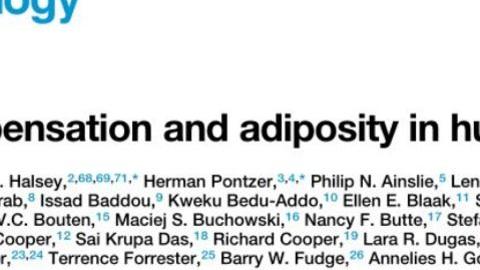 殷桃 扎心！Cell发文：胖子很难通过运动减肥！