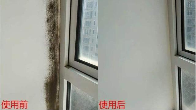 家里墙壁发霉发黑？保洁阿姨教你正确做法，旧墙焕然一新！