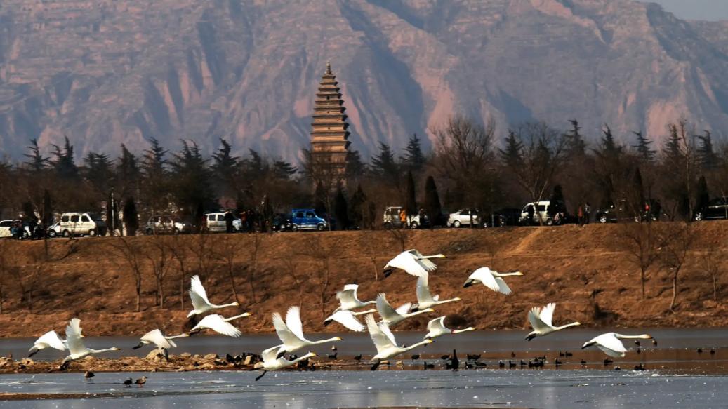 旅行|旅行的意义，可以是一次心情的释放，也可以是一次世界的探索