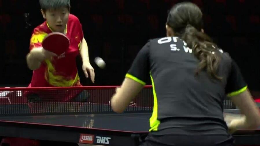 沃尔|3-0，3-0！孙颖莎凶猛开门红，国乒16岁小樊振东晋级，霸气大吼