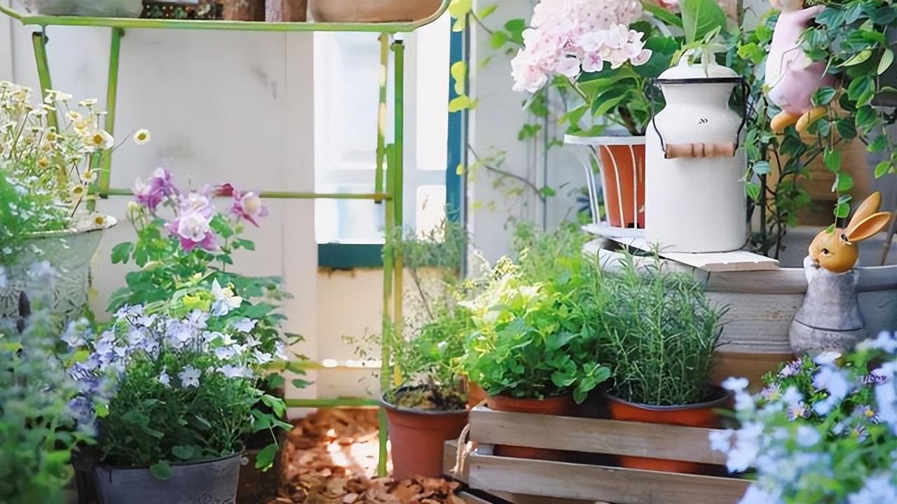 4.5㎡阳台，花了20天时间打造成花园，过上了有花有酒的惬意生活