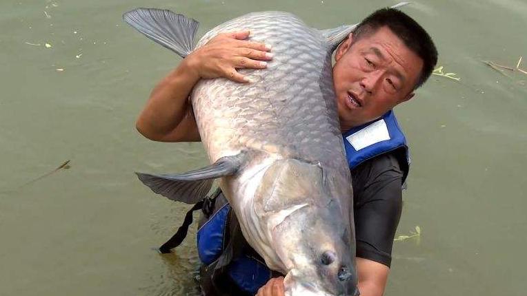 郭德纲|钓鱼圈德云社? 杨永财神预言? 李大毛有小女朋友, 郭德纲也被传绯闻