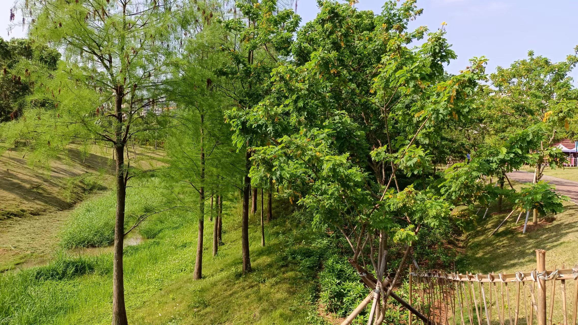 教师|修炼这五种能力，让你从职场脱颖而出