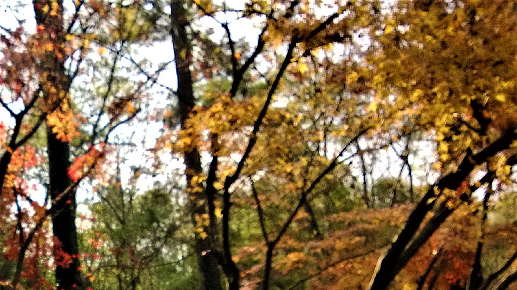 |职场上的唯唯诺诺，不等于尊重