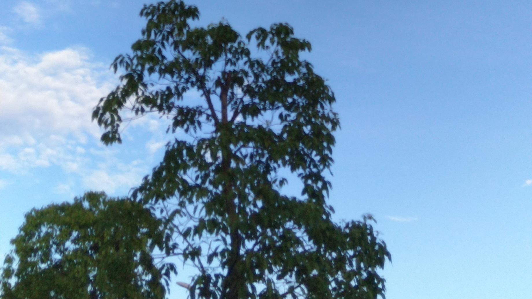 生肖|不知道天高地厚，不知道天高地厚的才是年轻人该有的样子啊