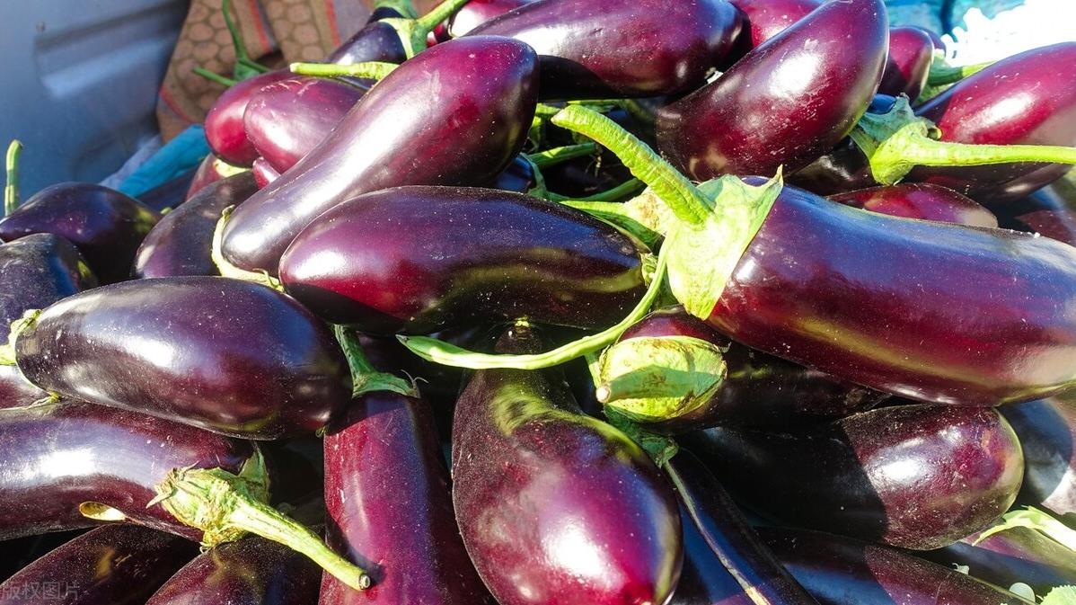 感冒|夏天宁可不吃肉，也要吃这5种“冠军”蔬菜，补足营养，提高智力