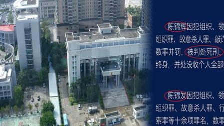 老虎|《对决》结局：陈氏兄弟死刑，大老虎被逮，文队、武队、袁队授勋