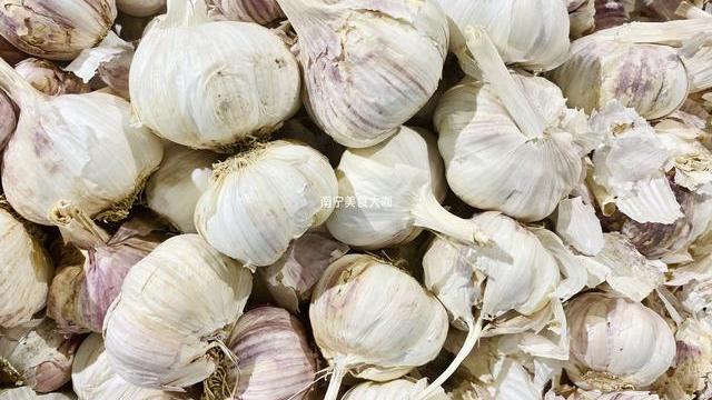 大蒜好不好？看准这5点就知道，老菜农教的方法真棒，一看一个准