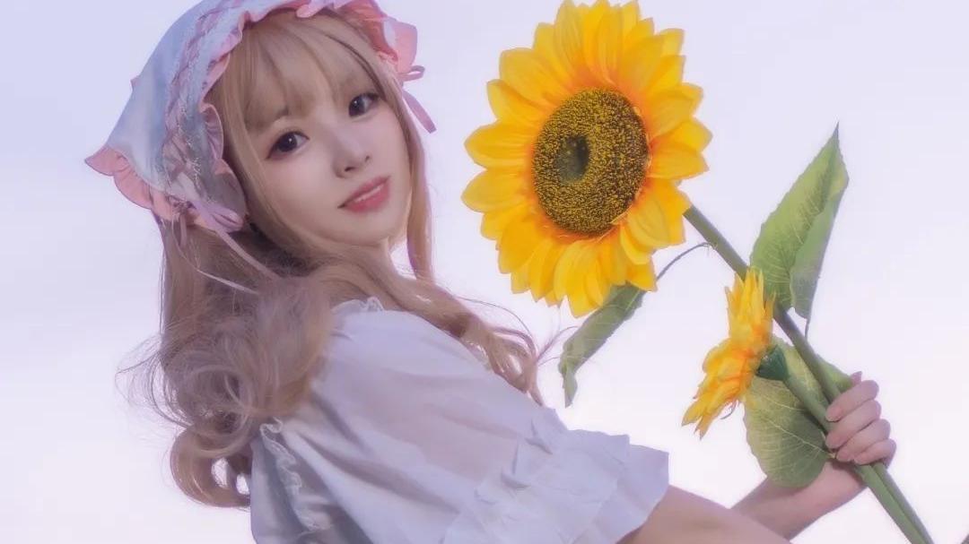 路飞|Lolita：我在这里等着你，你回来吗