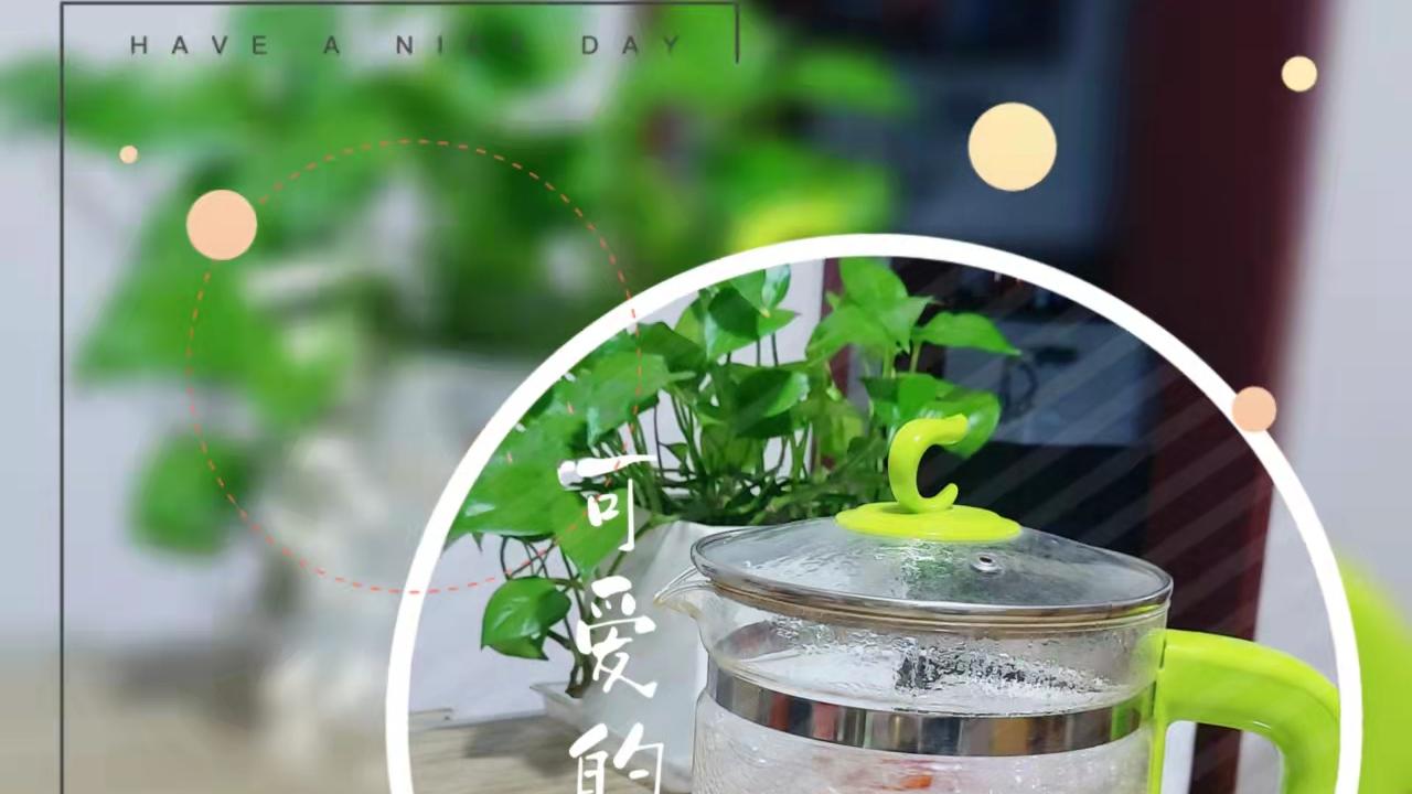 周末春日好时光