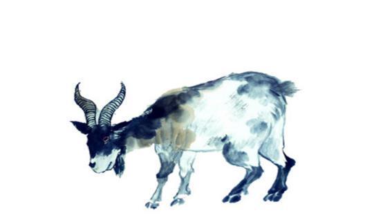 这三大生肖受上天眷顾, 人缘极佳福报满满