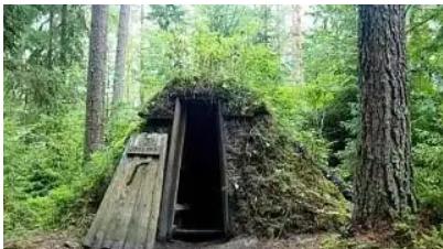 贵阳|俄罗斯中西部森林里有很多空着的木屋，千万别冒进，蕴含着危险