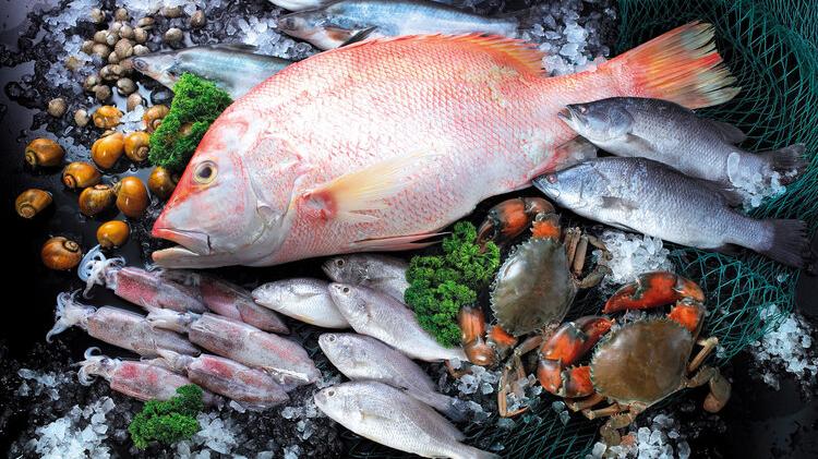 血糖|鱼是“长寿鱼”，不仅好处多多，还能降血糖？这3个好处看得见