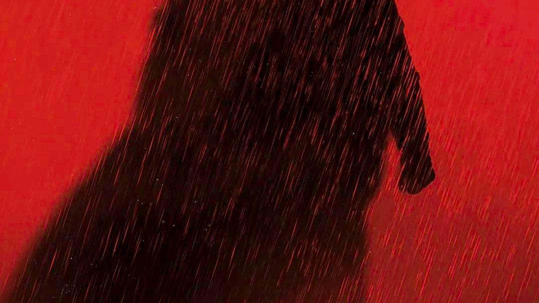 新蝙蝠侠|顶流回归，幸好没有“塌房”