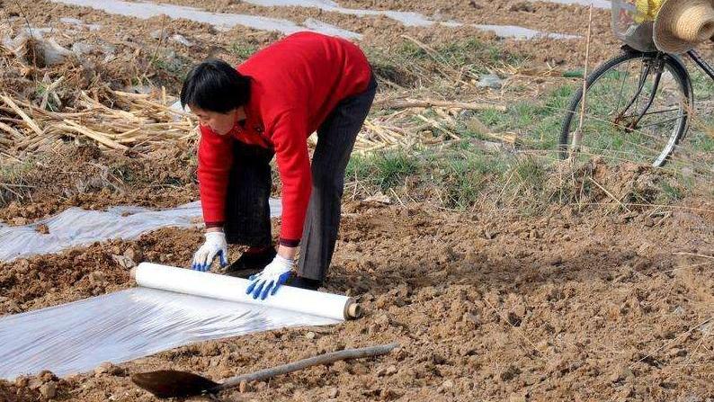 失眠|女子右下腹痛10年，5家医院误诊，专家：早注意这个疙瘩就好了！