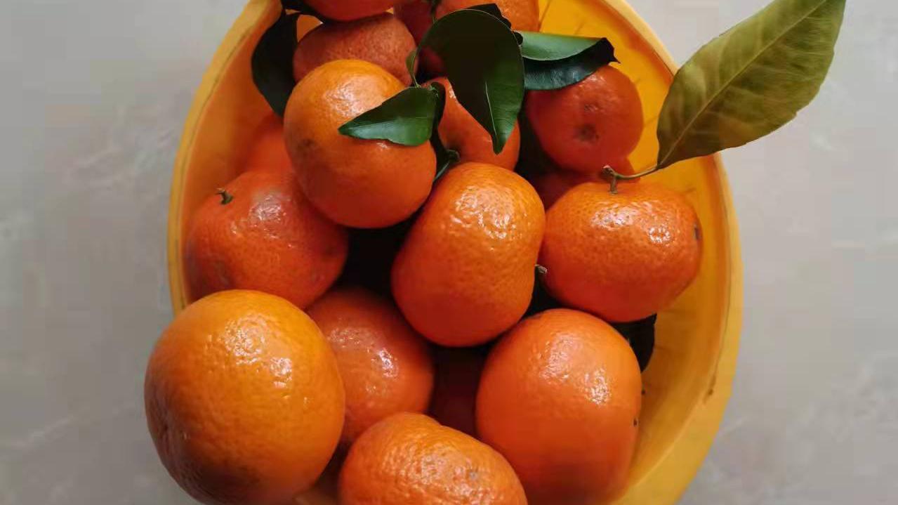 湖南|桔子的滋味