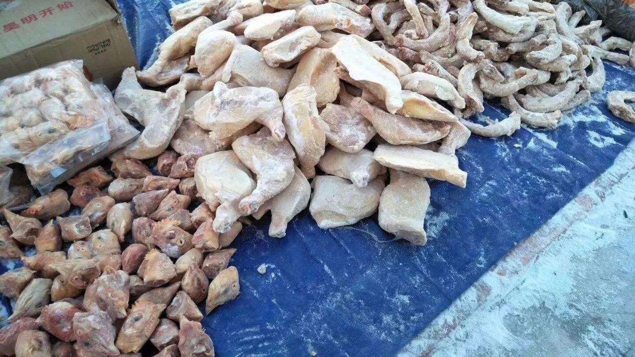 南瓜|东北人“猫冬”6大冻货儿，冬天缺一不可，流传几十年了！