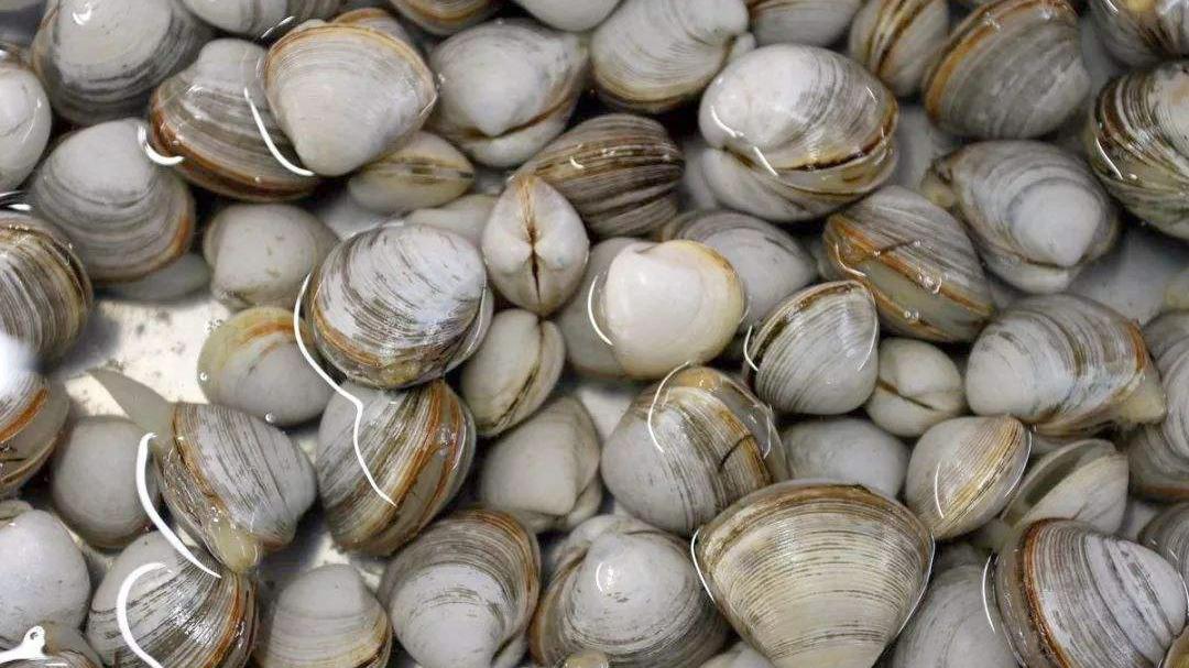 手抓饼|\蟹王\郑有才: 他的黄油蟹一只竟能卖2000元! 他的螃蟹有什么不同?