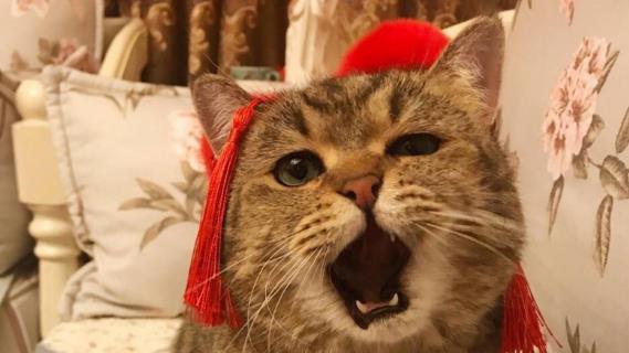 手擀面|发现5种好吃的“网红零食”，美味营养还不贵，堪称舌尖上的盛宴