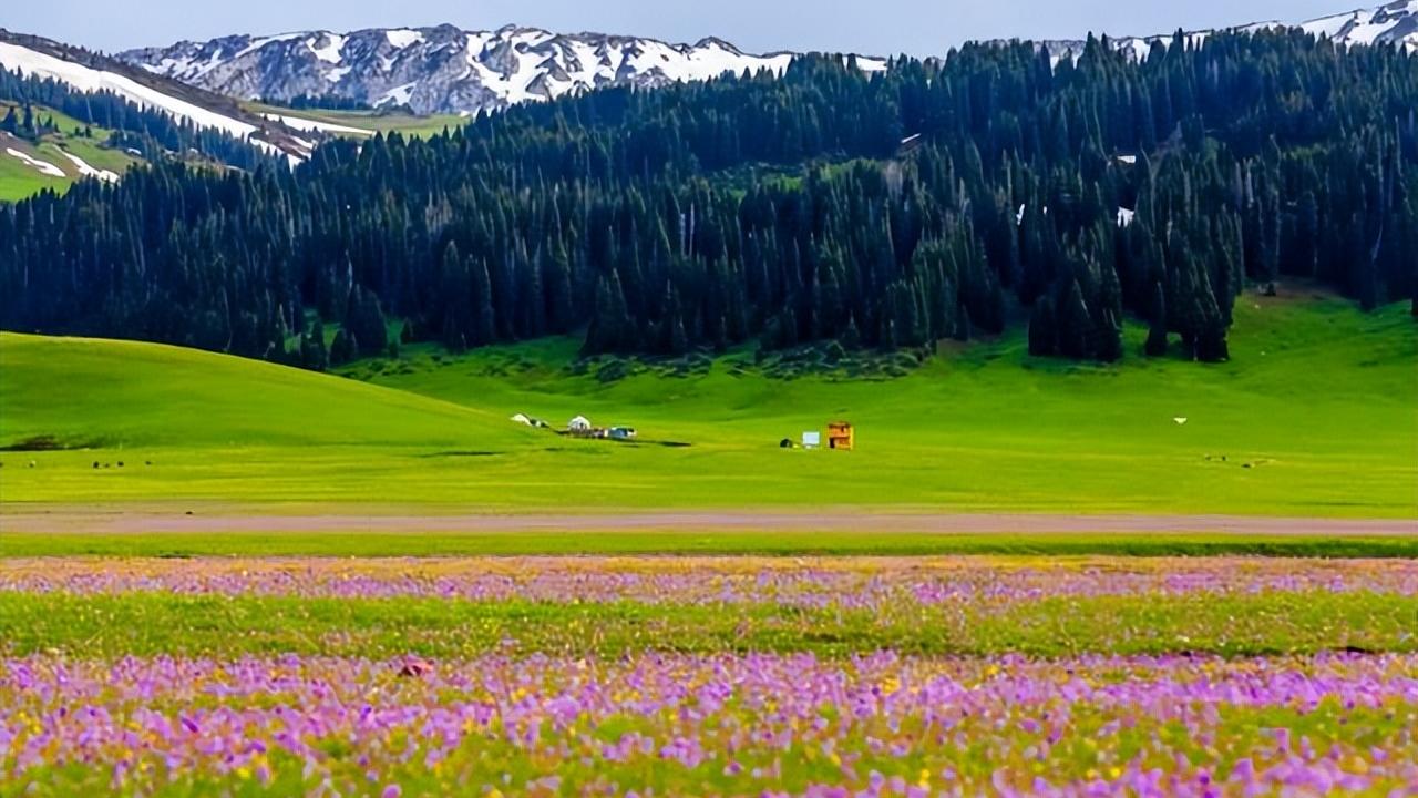 草原|这个夏天如果只能去一个地方，那一定是北疆