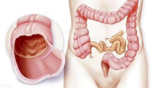 穴位|长期“大便不成形”？或是这4个原因在“捣鬼”，早知道早预防！