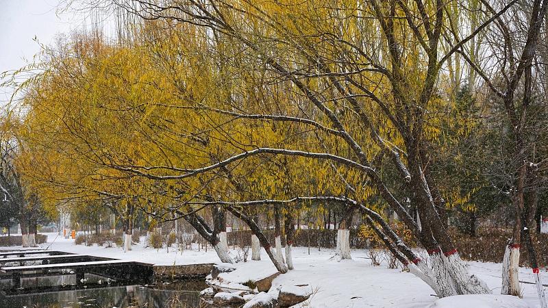 垃圾食品|立冬将至，老人说“立冬三件事，一冬无烦恼”：三件事分别指的是啥？