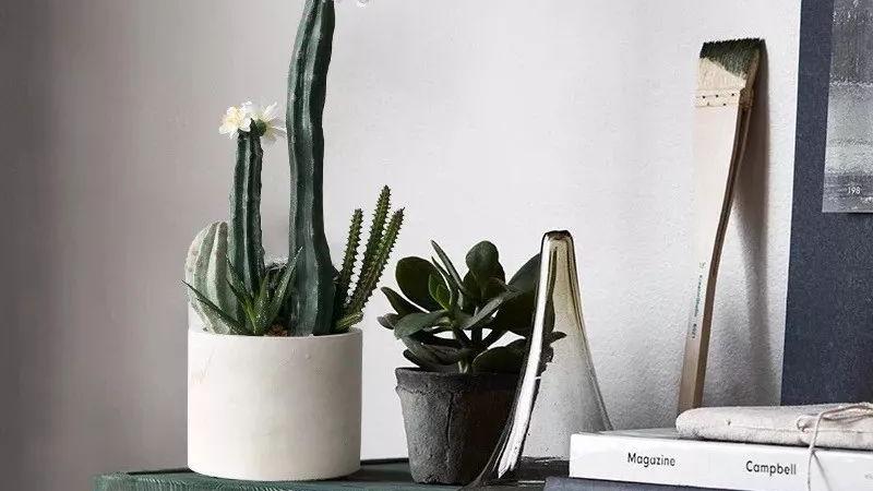 客厅里随手摆放的小物件，也有可能影响格局，有钱人都会“避开”