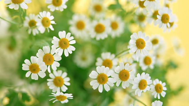 社会养老|哪一年出生的人，2022年低入高走，“财”字当头，日子越来越好