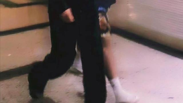 肖战|肖战深V显饱满胸膛！新造型粗犷、古朴