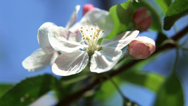 耳鸣|长久保持自律的４个小方法，人人都可复制！