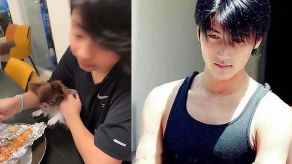 谢霆锋|张柏芝二儿子从小被说像妈，12岁造型网友一看：少年谢霆锋