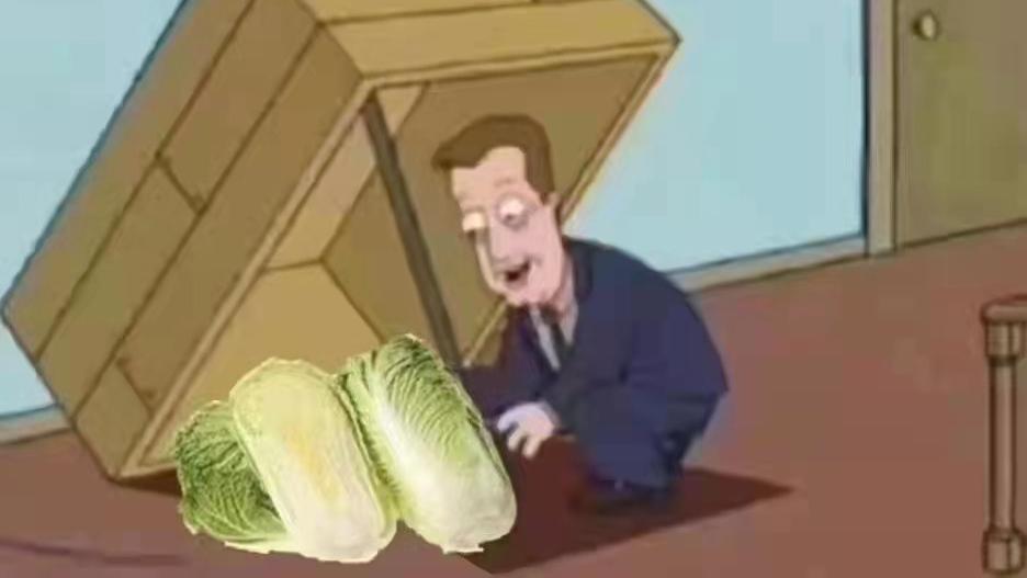 上海市|一个普通上海人的囤菜经历