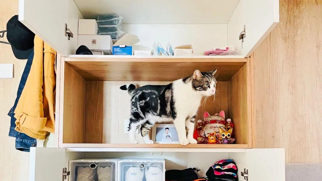 进门这面墙折腾明白，感觉比换房还划算！