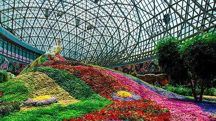 广安|花之城：是一座以花朵艺术为主题的景点