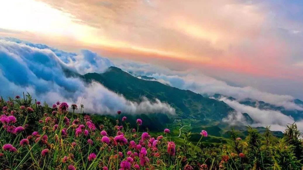 呼中|毕节贵州屋脊，体验世界最大野生韭菜花的壮美景色