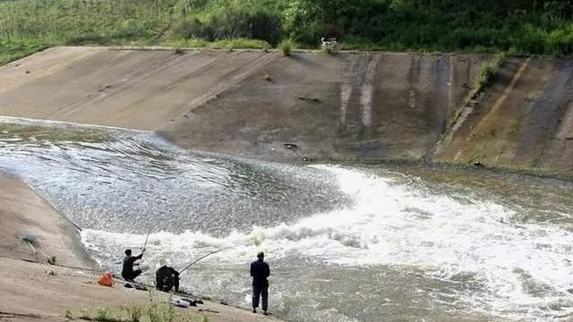 黄骨鱼|野钓流水（江河）攻略分享，激流都可钓