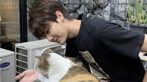 花泽类|泰版花泽类dew为何受到众多人关注和喜爱