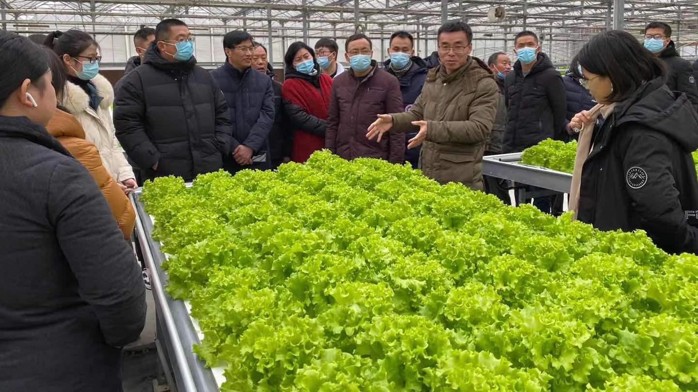 农业科研机构在推广农业技术遇到的问题与解决方案