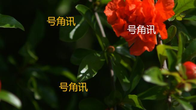 |磊磊发文：三个感谢，一颗诚心