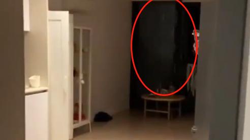 澳公寓变“水帘洞”！中国女留学生惊恐奔逃，时隔一年终索赔成功