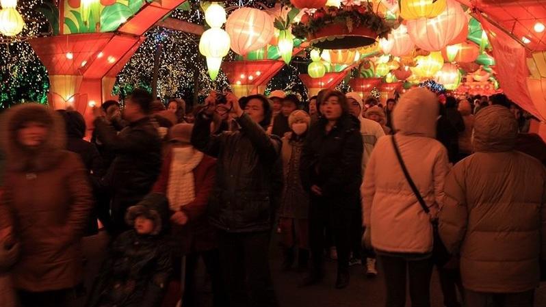 正月十五元宵节，元宵和汤圆根本不是一回事，很多人都搞错